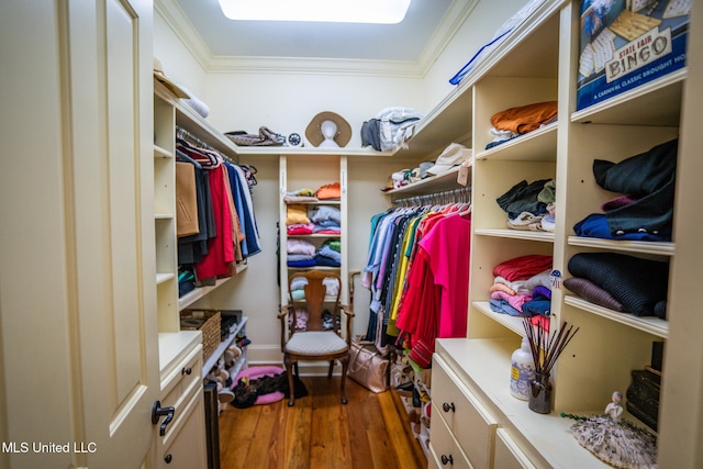 walk in closet featuring dark hardwood / wood-style floors