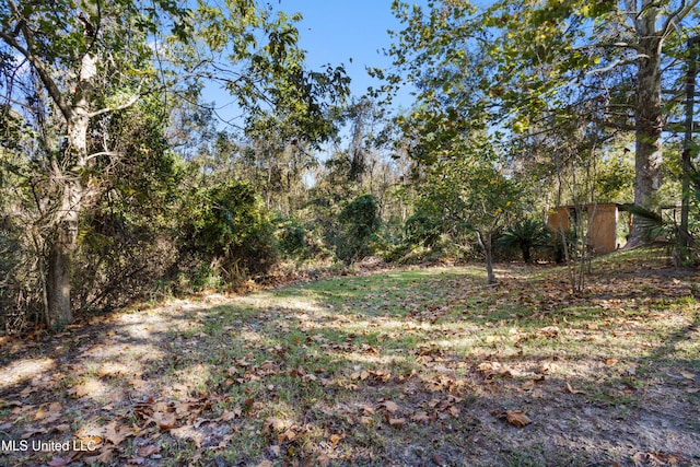 view of yard featuring a shed