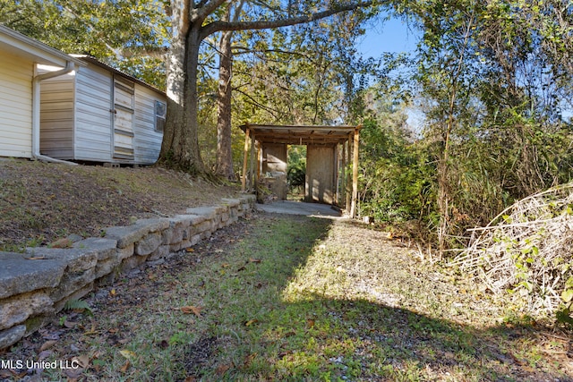 view of yard with a storage unit