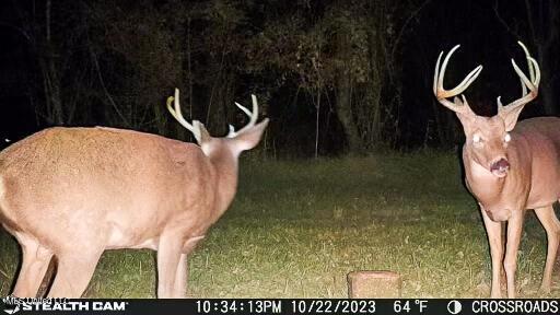 11490 Vaughan Rd, Vaughan, MS 39179