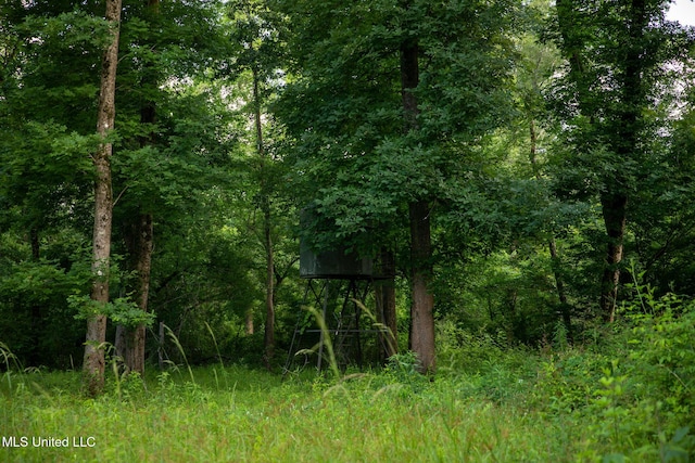 11490 Vaughan Rd, Vaughan, MS 39179