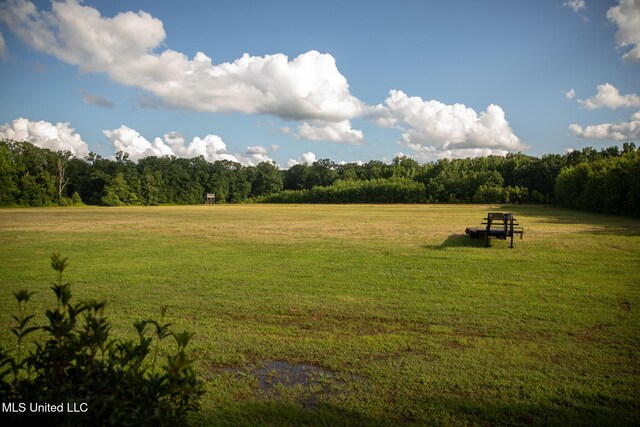 11490 Vaughan Rd, Vaughan, MS 39179