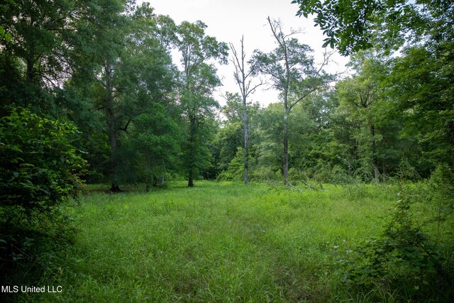 11490 Vaughan Rd, Vaughan, MS 39179