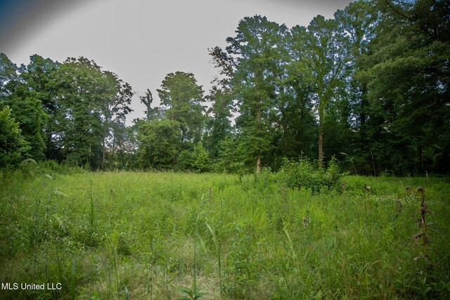 11490 Vaughan Rd, Vaughan, MS 39179