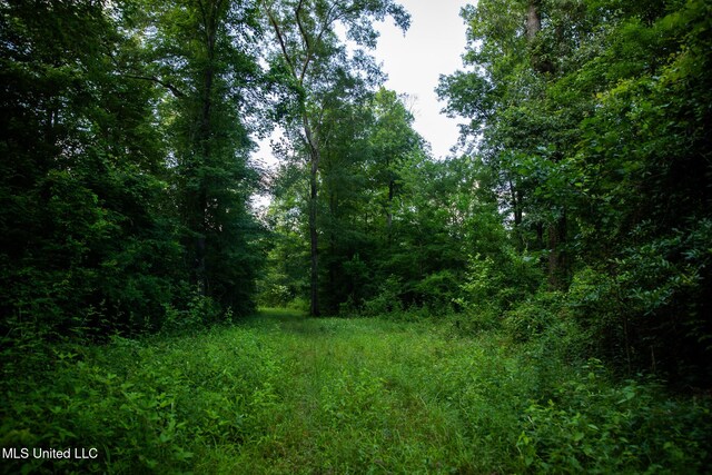 11490 Vaughan Rd, Vaughan, MS 39179