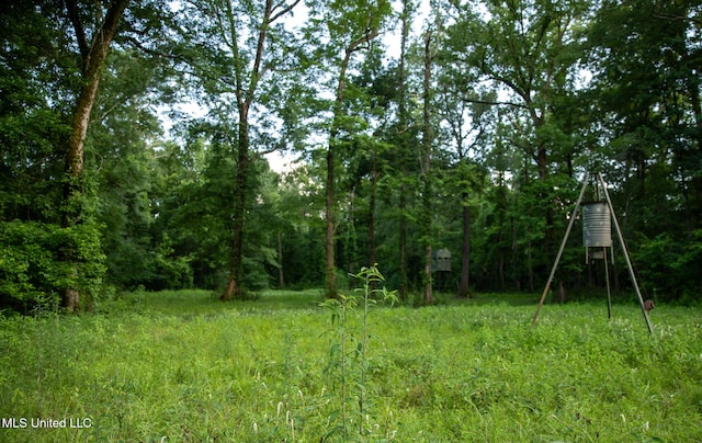 11490 Vaughan Rd, Vaughan, MS 39179