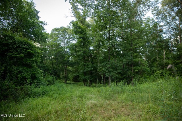 11490 Vaughan Rd, Vaughan, MS 39179