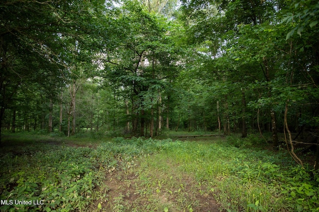 11490 Vaughan Rd, Vaughan, MS 39179