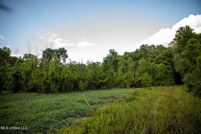 11490 Vaughan Rd, Vaughan, MS 39179