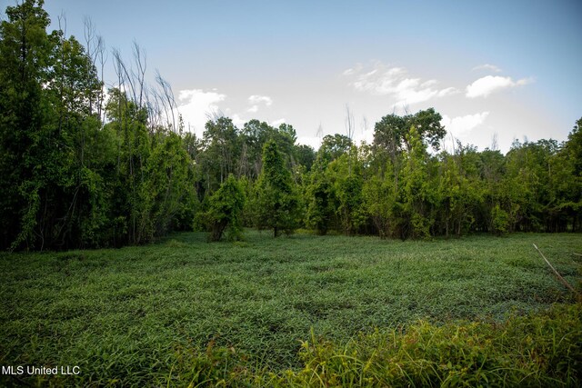 11490 Vaughan Rd, Vaughan, MS 39179