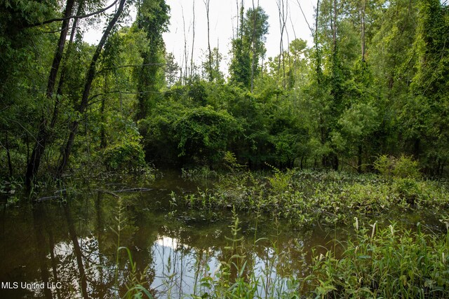 11490 Vaughan Rd, Vaughan, MS 39179