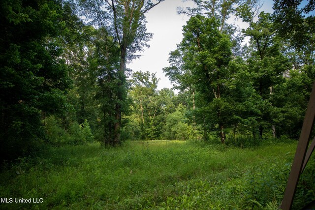 11490 Vaughan Rd, Vaughan, MS 39179