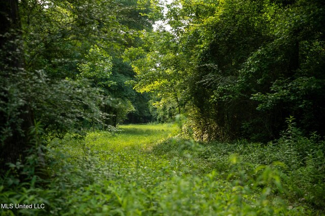 11490 Vaughan Rd, Vaughan, MS 39179