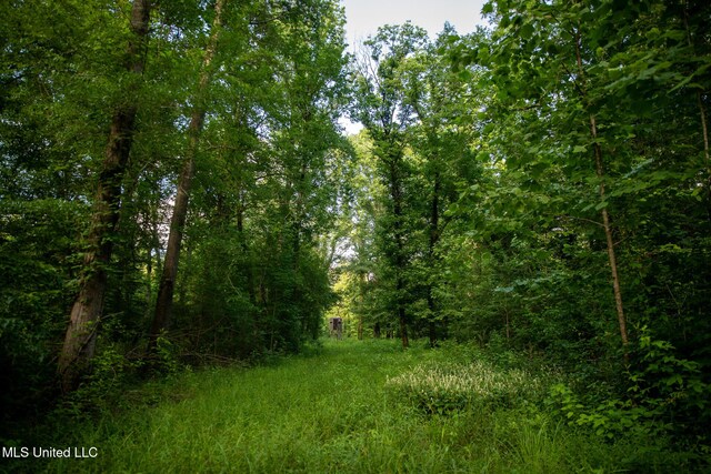 11490 Vaughan Rd, Vaughan, MS 39179