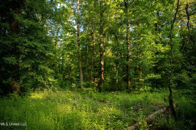 11490 Vaughan Rd, Vaughan, MS 39179