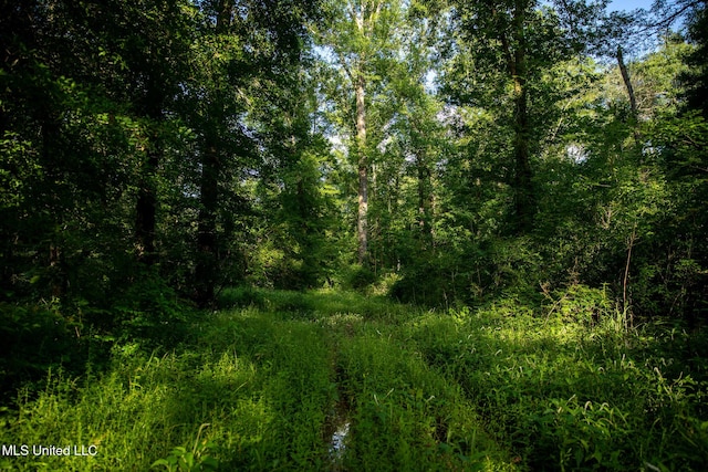 11490 Vaughan Rd, Vaughan, MS 39179