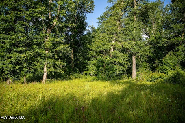11490 Vaughan Rd, Vaughan, MS 39179