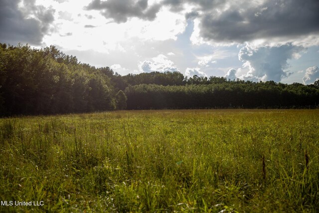 11490 Vaughan Rd, Vaughan, MS 39179