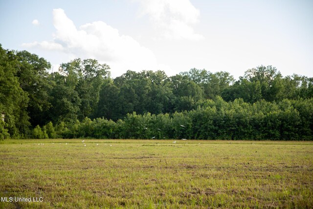 11490 Vaughan Rd, Vaughan, MS 39179