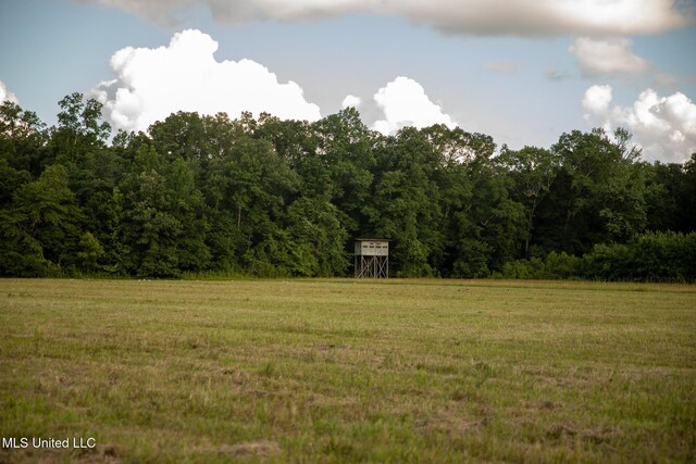 11490 Vaughan Rd, Vaughan, MS 39179