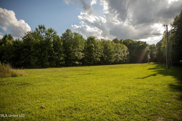 11490 Vaughan Rd, Vaughan, MS 39179