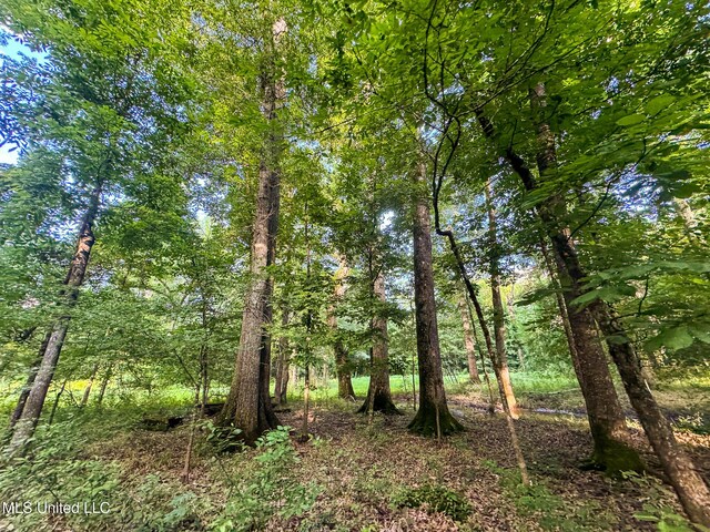 11490 Vaughan Rd, Vaughan, MS 39179