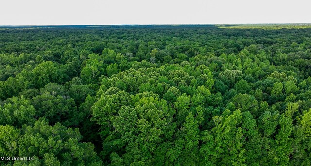 11490 Vaughan Rd, Vaughan, MS 39179