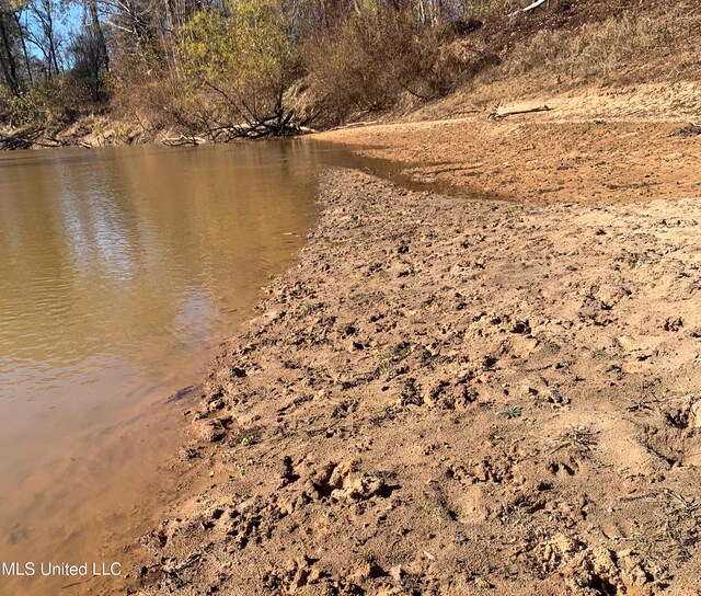 11490 Vaughan Rd, Vaughan, MS 39179
