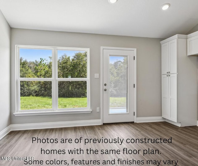 entryway with a wealth of natural light and hardwood / wood-style floors