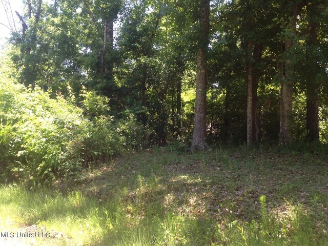 LOT4 Maple Ave, Ocean Springs MS, 39564 land for sale