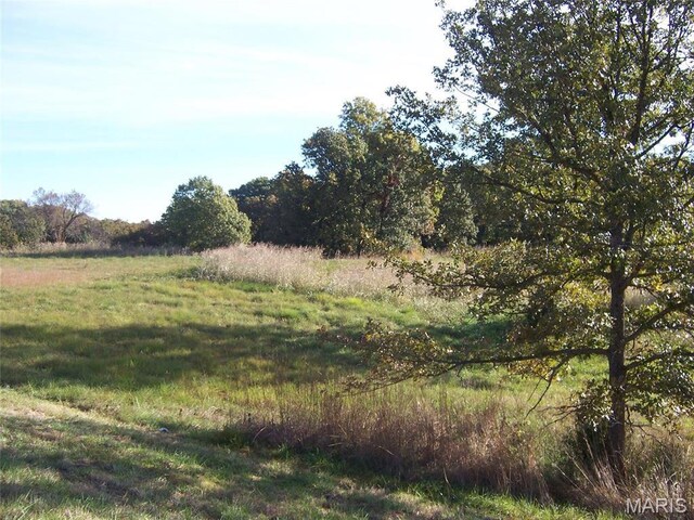 3170 Papin Rd, De Soto, MO 63020 - photo 8