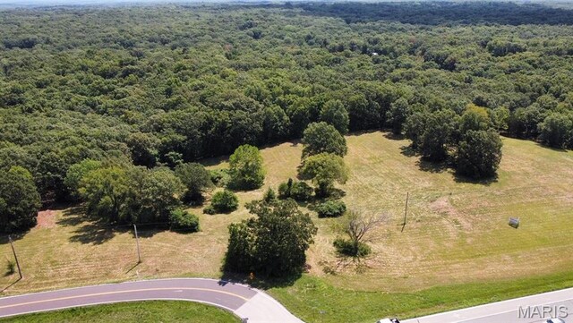 3170 Papin Rd, De Soto, MO 63020 - photo 13