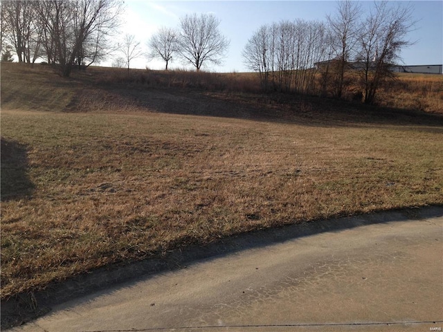 1533 Birchwood Ct, Cape Girardeau, MO 63701 - photo 1