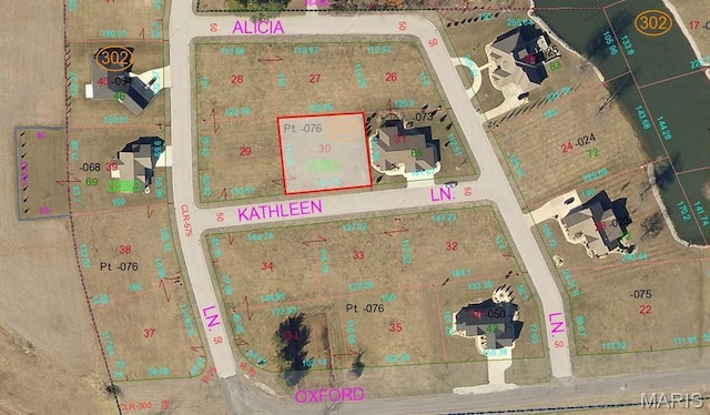 1545 Kathleen Ln, Staunton, IL 62088 - photo 4