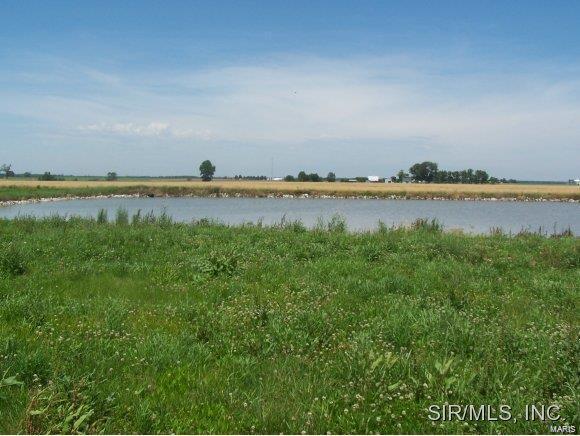631 Hailie St, Saint Libory, IL 62282