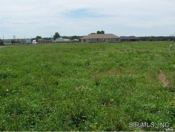 652 Hailie St, Saint Libory, IL 62282