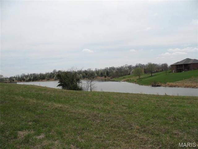 1708 Warren Lake Dr, Jackson, MO 63755 - photo 6