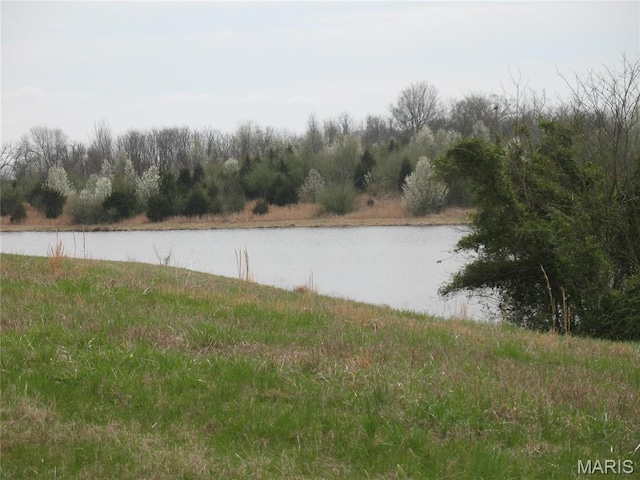 1708 Warren Lake Dr, Jackson, MO 63755 - photo 7