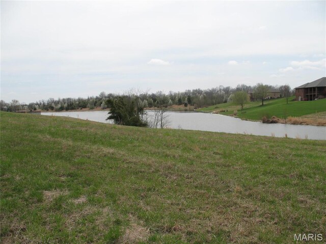 1708 Warren Lake Dr, Jackson, MO 63755 - photo 9
