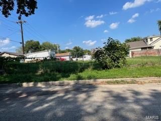 213 Catalan, Saint Louis, MO 63111 - photo 1