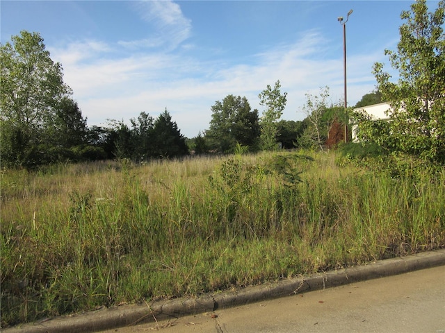 0 Eugene Blvd, Poplar Bluff, MO 63901 - photo 2