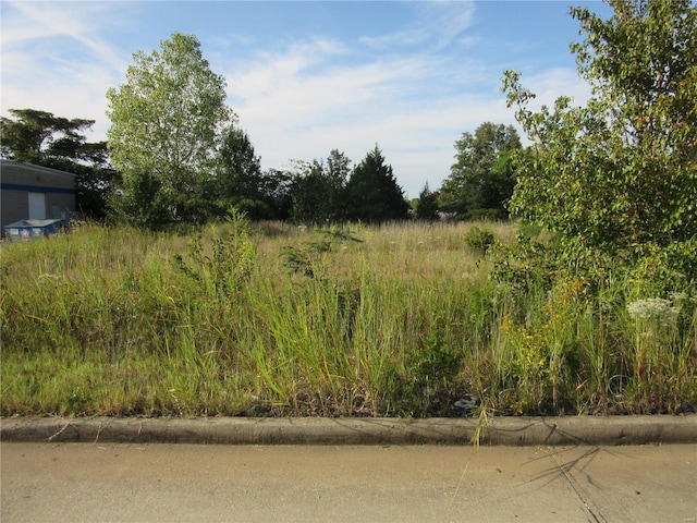 0 Eugene Blvd, Poplar Bluff, MO 63901 - photo 3