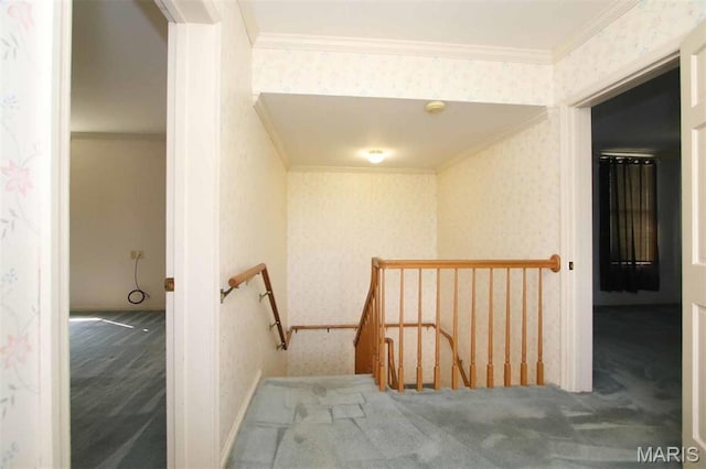 4204 Frank Scott Pkwy W, Belleville, IL 62223 - photo 24