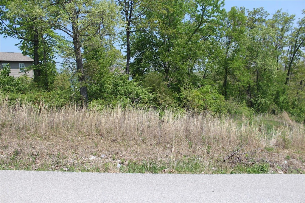 0 Trace Dr, Saint Robert, MO 65584