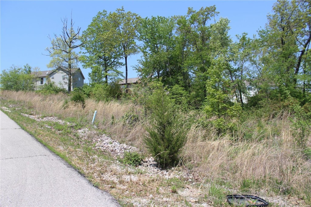0 Trace Dr, Saint Robert, MO 65584