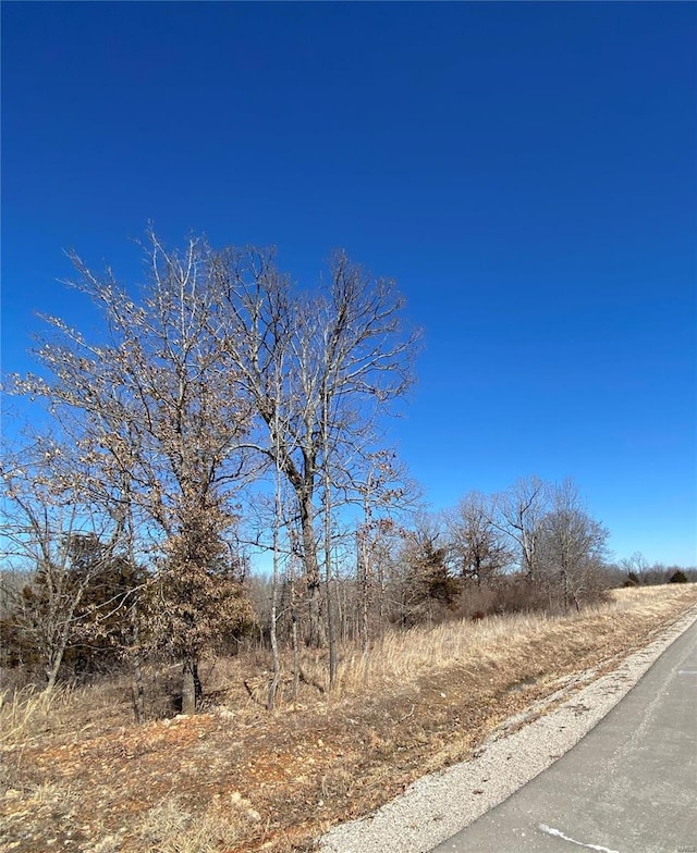 0 Promise Dr, Lebanon, MO 65536