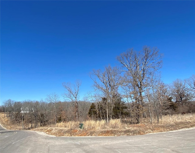 0 Promise Dr, Lebanon, MO 65536