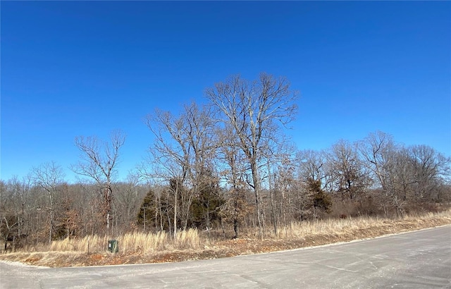 0 Promise Dr, Lebanon, MO 65536