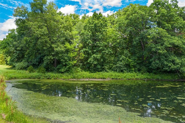 11 Dayspring, Litchfield, IL 62056