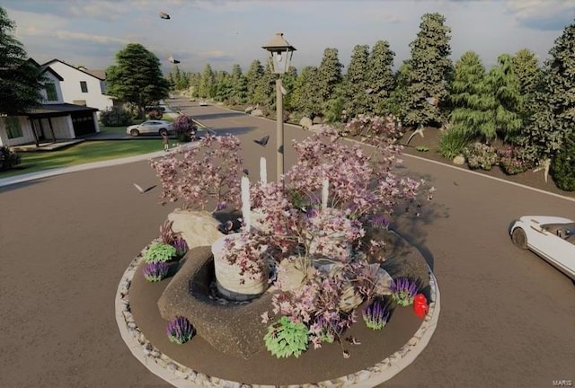 2025 Lily Ave, Kirkwood, MO 63122 - view of community